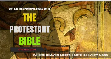 Why Protestant Bibles Exclude the Apocrypha: Historical and Theological Insights