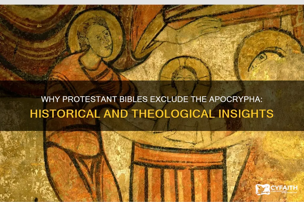 why are the apocrypha books not in the protestant bible