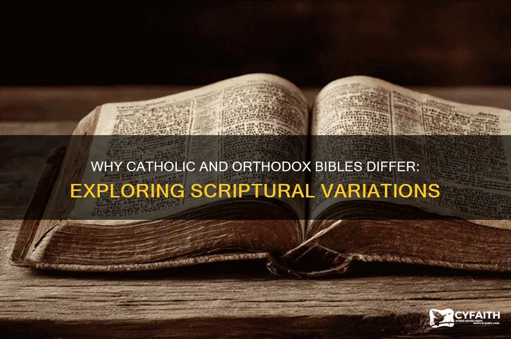 why are the catholic and orthodox bible different