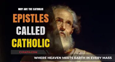 Understanding the Catholic Epistles: Their Universal Message and Timeless Relevance