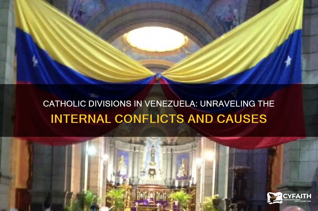 why are the catholics fight each other in veneseswayet