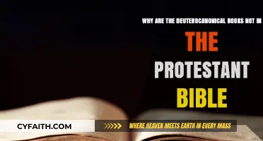 Why Protestant Bibles Exclude Deuterocanonical Books: Historical Insights