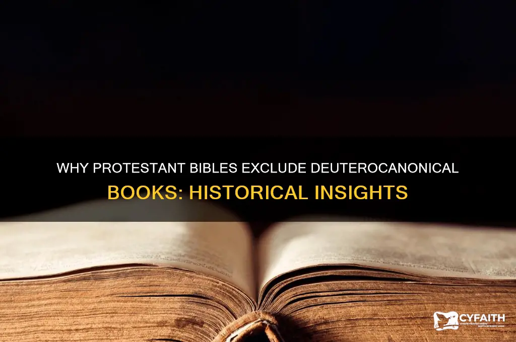 why are the deuterocanonical books not in the protestant bible