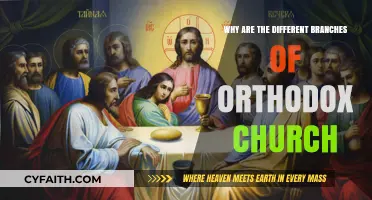 Exploring the Historical and Theological Divisions in Orthodox Christianity