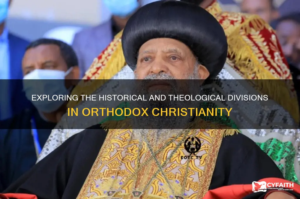 why are the different branches of orthodox church