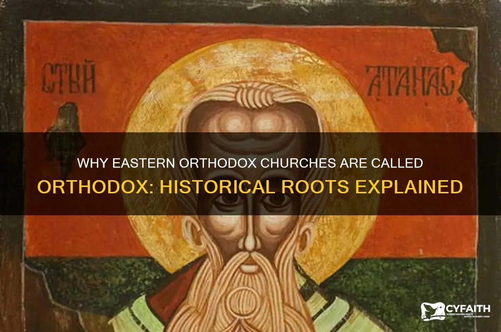 why are the eastern orthodox called orthodox