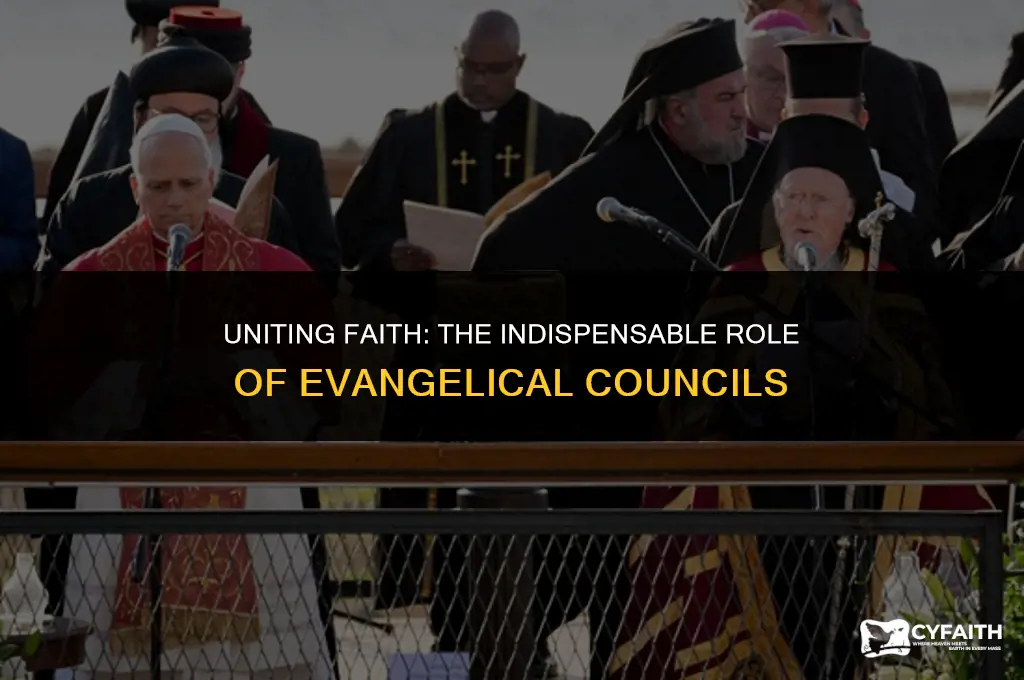 why are the evangelical councils needed