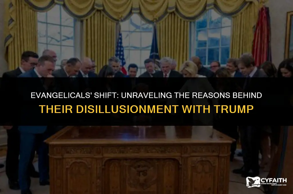 why are the evangelicals turning against trump