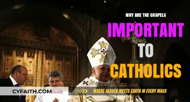 The Gospels' Role in Catholic Faith and Tradition Explained