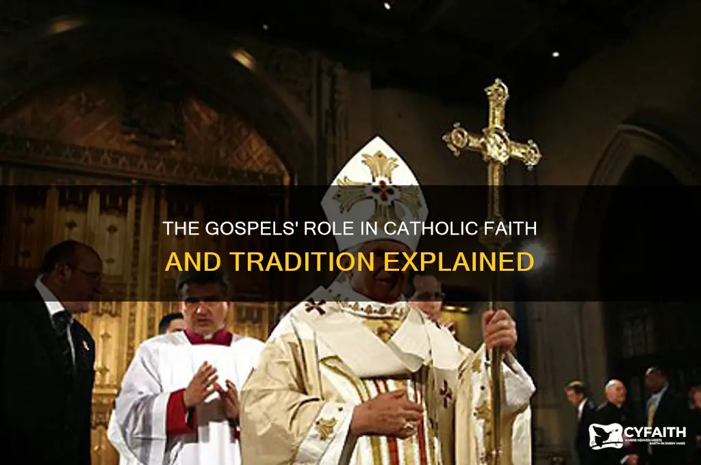 why are the gospels important to catholics
