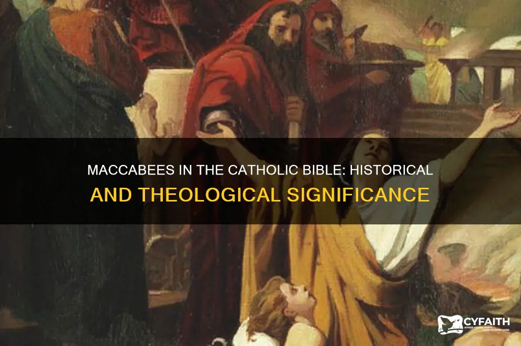 why are the maccabees included in the catholic bilbe