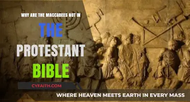 Why Protestant Bibles Exclude the Maccabees: Historical and Theological Insights
