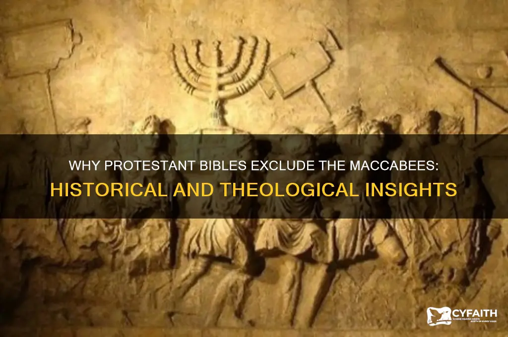 why are the maccabees not in the protestant bible