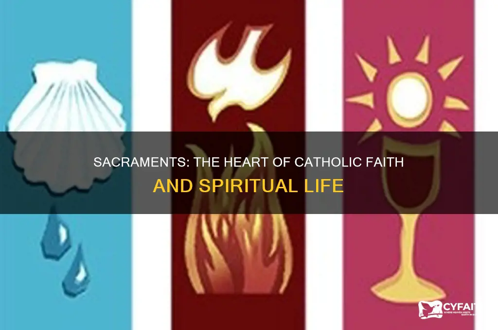 why are the sacraments central to the catholic faith