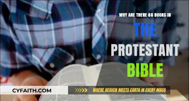 The Protestant Bible's 66 Books: A Historical and Theological Journey