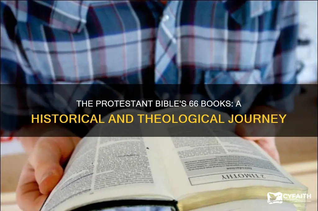 why are there 66 books in the protestant bible