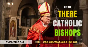 Understanding the Role and Significance of Catholic Bishops in the Church