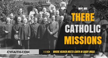 Understanding the Purpose and Impact of Catholic Missions Worldwide