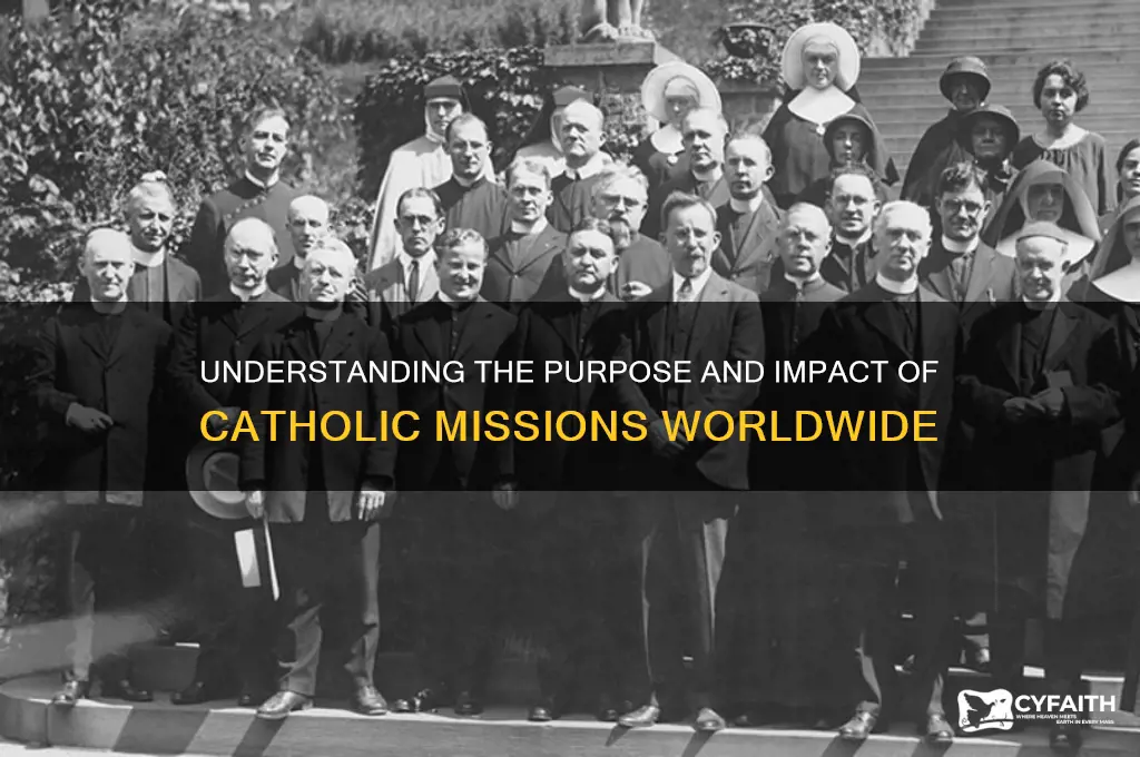 why are there catholic missions