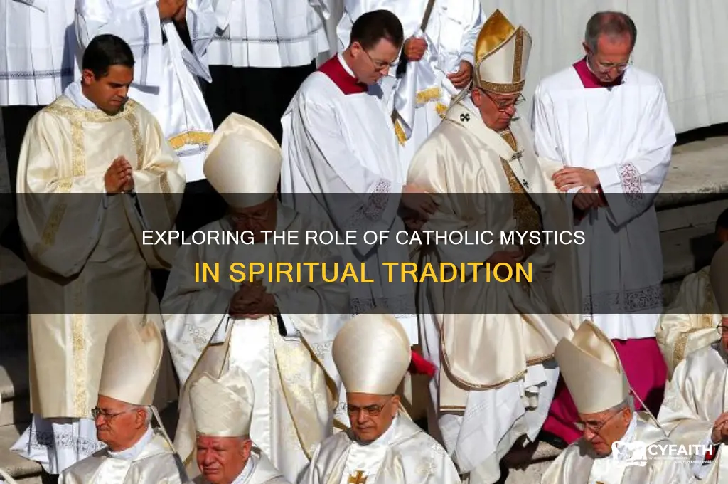 why are there catholic mystics