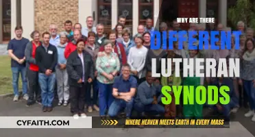 Exploring the Diversity: Why Are There Different Lutheran Synods?