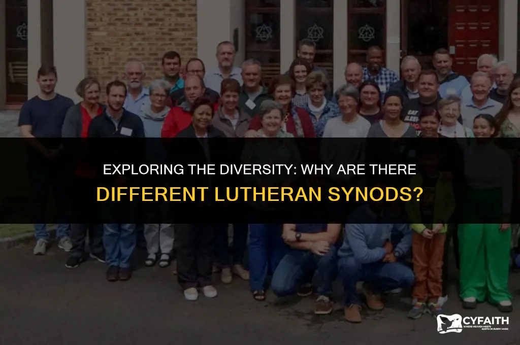 why are there different lutheran synods