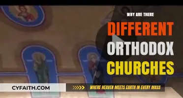 Exploring the Historical and Cultural Roots of Diverse Orthodox Churches