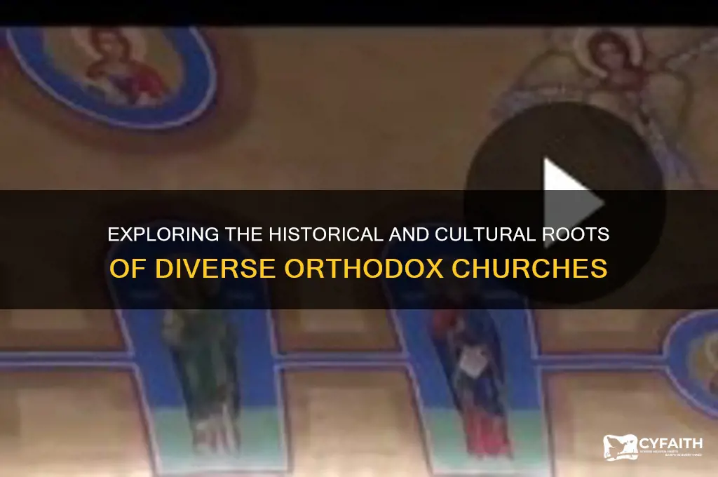 why are there different orthodox churches