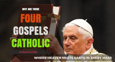 Four Gospels in Catholicism: Unity, Perspectives, and Divine Revelation Explained
