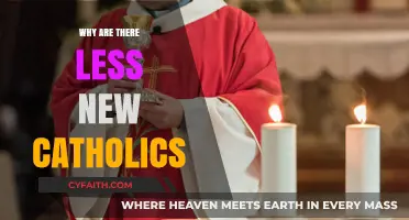 Declining Catholic Conversions: Exploring the Reasons Behind Fewer New Catholics