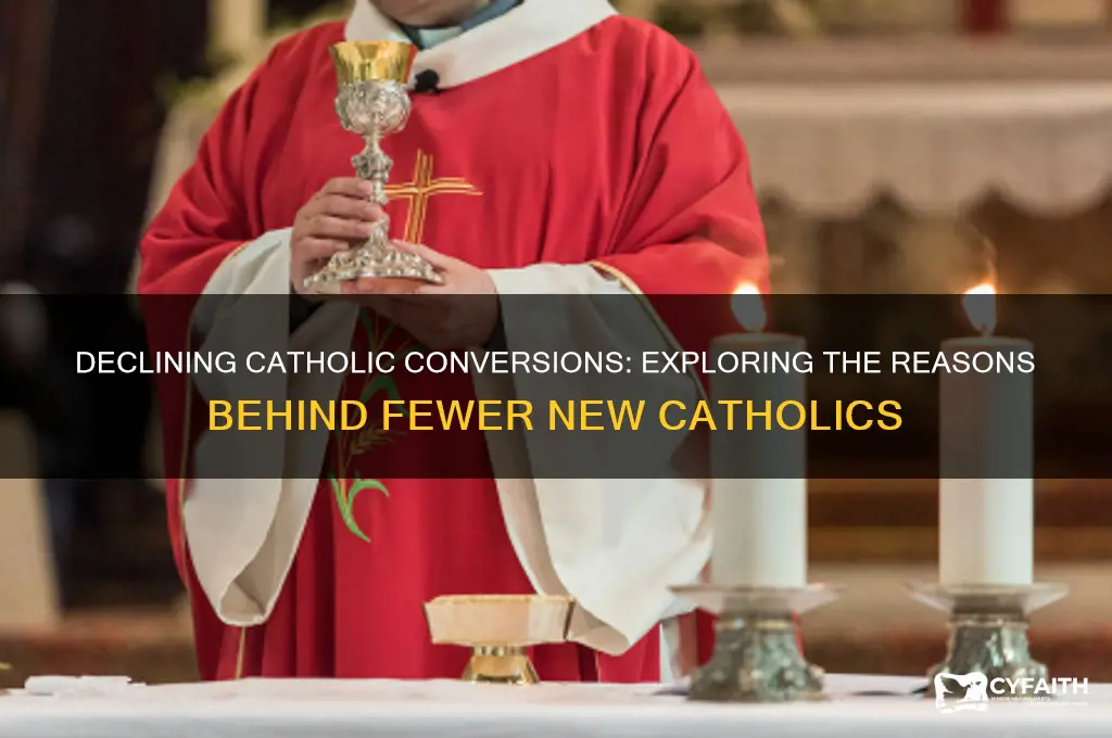 why are there less new catholics