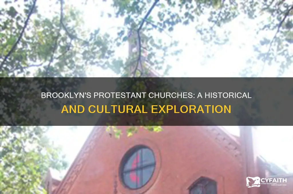 why are there many protestant church brooklyn