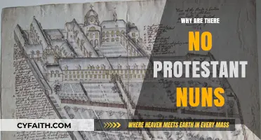 Why Protestant Traditions Lack Nuns: Historical and Theological Insights
