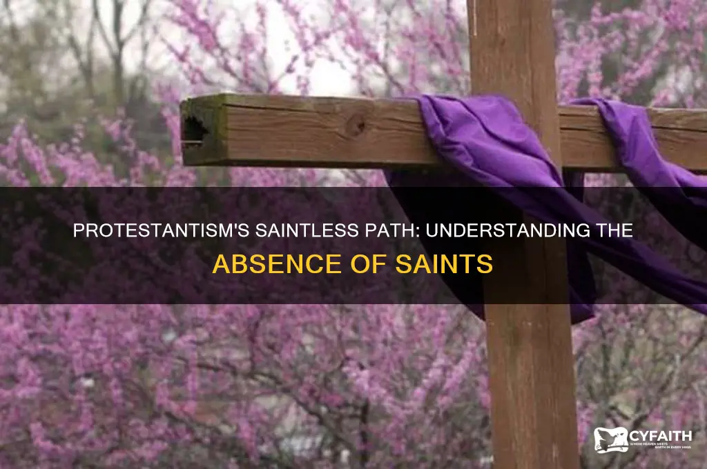 why are there no protestant saints