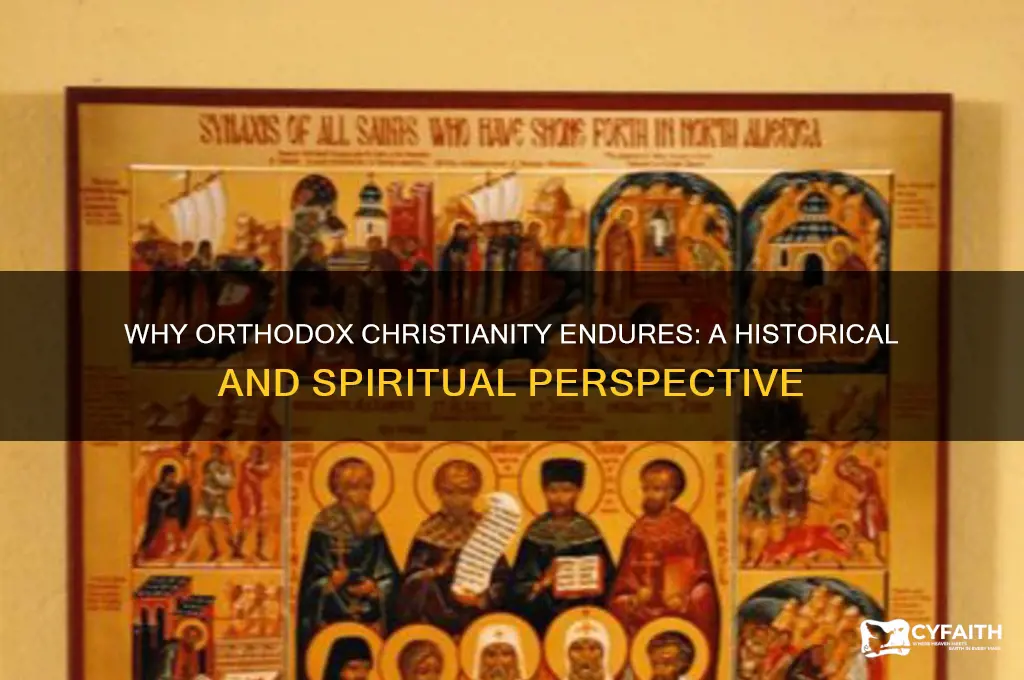 why are there orthodox christians