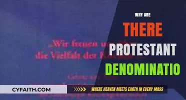 Understanding the Origins and Diversity of Protestant Denominations
