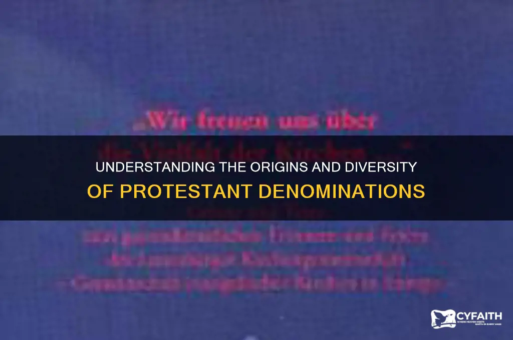 why are there protestant denominations