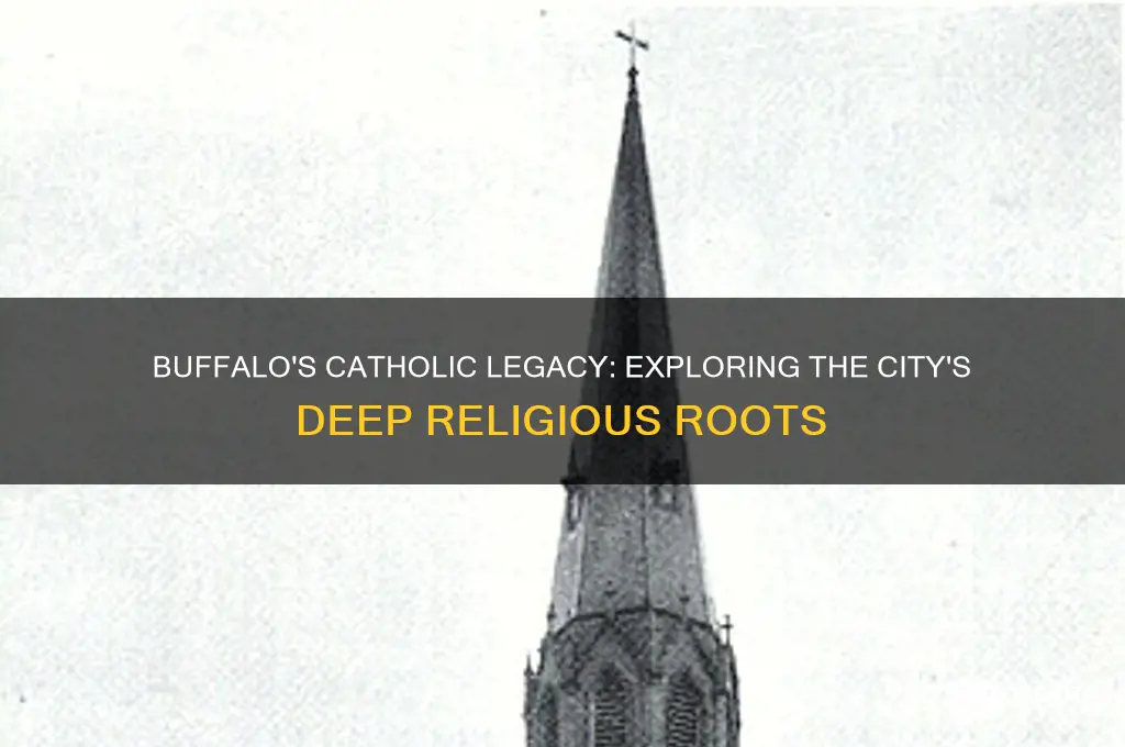 why are there so many catholics in buffalo