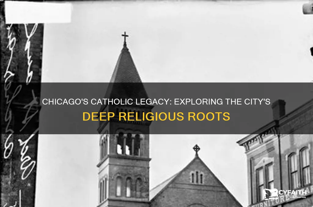why are there so many catholics in chicago