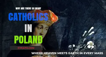 Poland's Catholic Legacy: Historical Roots and Enduring Faith Explained