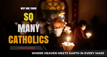 The Global Catholic Presence: Historical and Cultural Factors Explained
