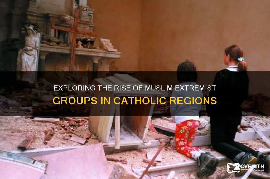 why are there so many muslim extremist groups catholic