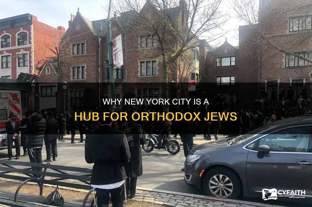 why are there so many orthodox jews in new york