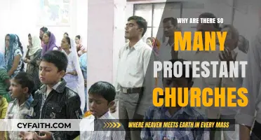 The Proliferation of Protestant Churches: Understanding the Diverse Landscape