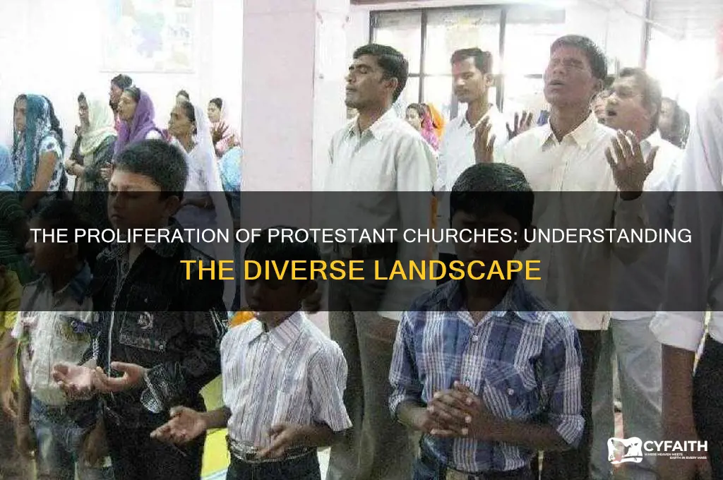 why are there so many protestant churches