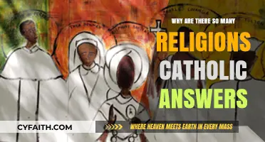 Exploring the Diversity of Faith: Catholic Insights on Many Religions