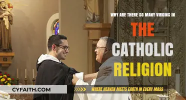 Understanding the Prevalence of Celibacy in Catholic Religious Vocations