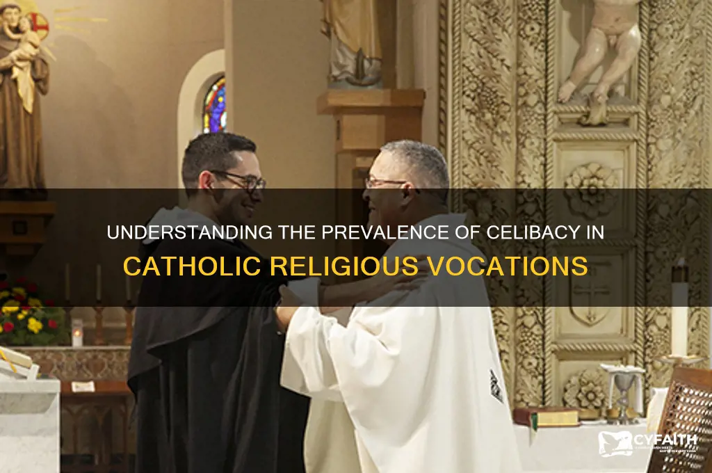 why are there so many virgins in the catholic religion