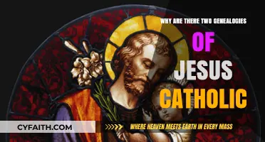 Two Genealogies of Jesus: Unraveling the Catholic Perspective