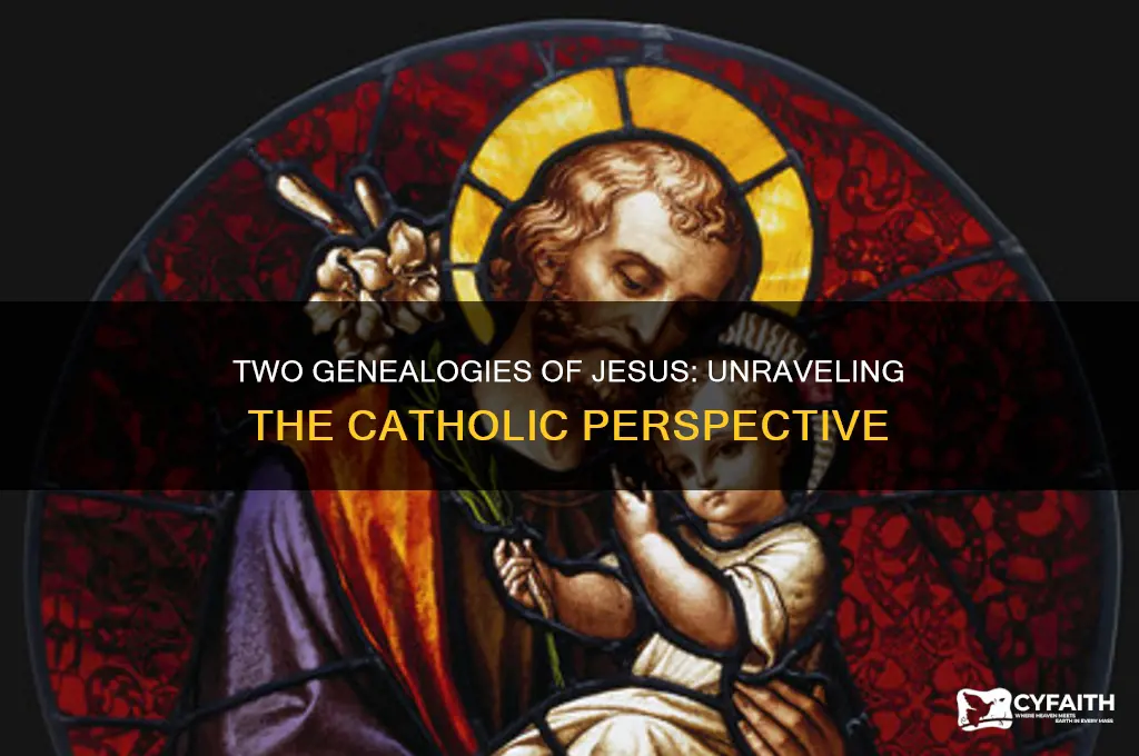 why are there two genealogies of jesus catholic